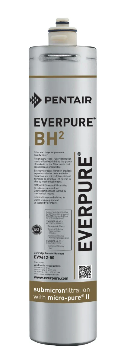 Everpure EV9612-50 BH2 Replacement Water Filter Cartridge - .5 Micron and .5 GPM